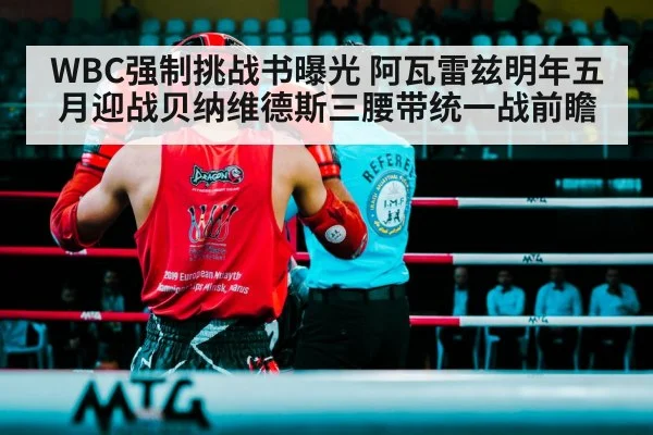 WBC强制挑战书曝光 阿瓦雷兹明年五月迎战贝纳维德斯三腰带统一战前瞻